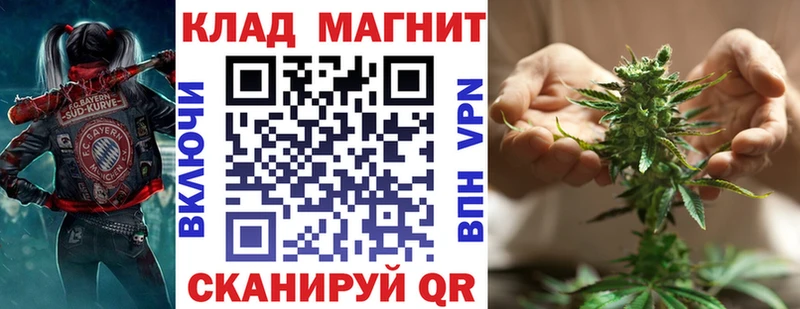 ГАШ Краснознаменск