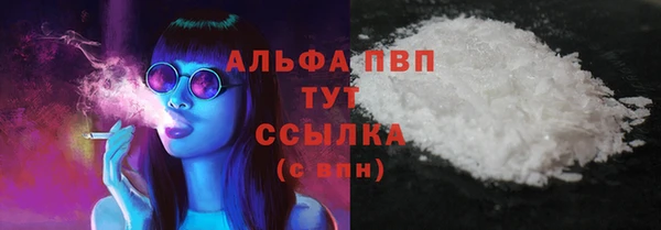 крисы Баксан