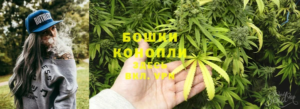 крисы Баксан