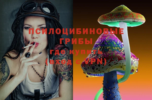 крисы Баксан