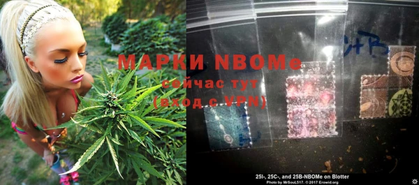 крисы Баксан
