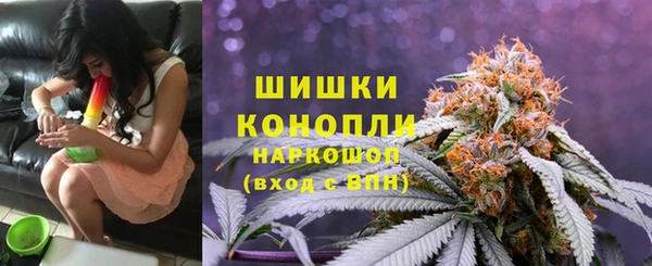 крисы Баксан