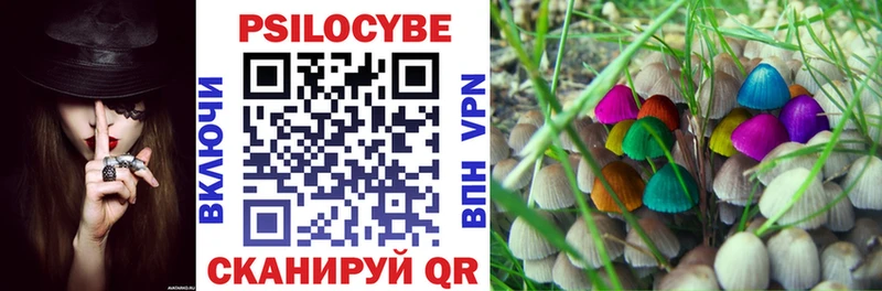 Псилоцибиновые грибы мухоморы  hydra ССЫЛКА  Краснознаменск 
